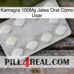 Kamagra 100Mg Jalea Oral Cómo Usar 16